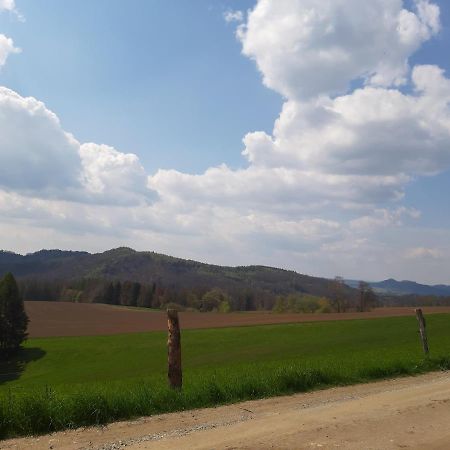 Apartmán Fewo Schiffner Bad Schandau Exteriér fotografie